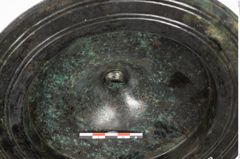 Foto von Bronzephalere (NHMW-PRAE-025107)